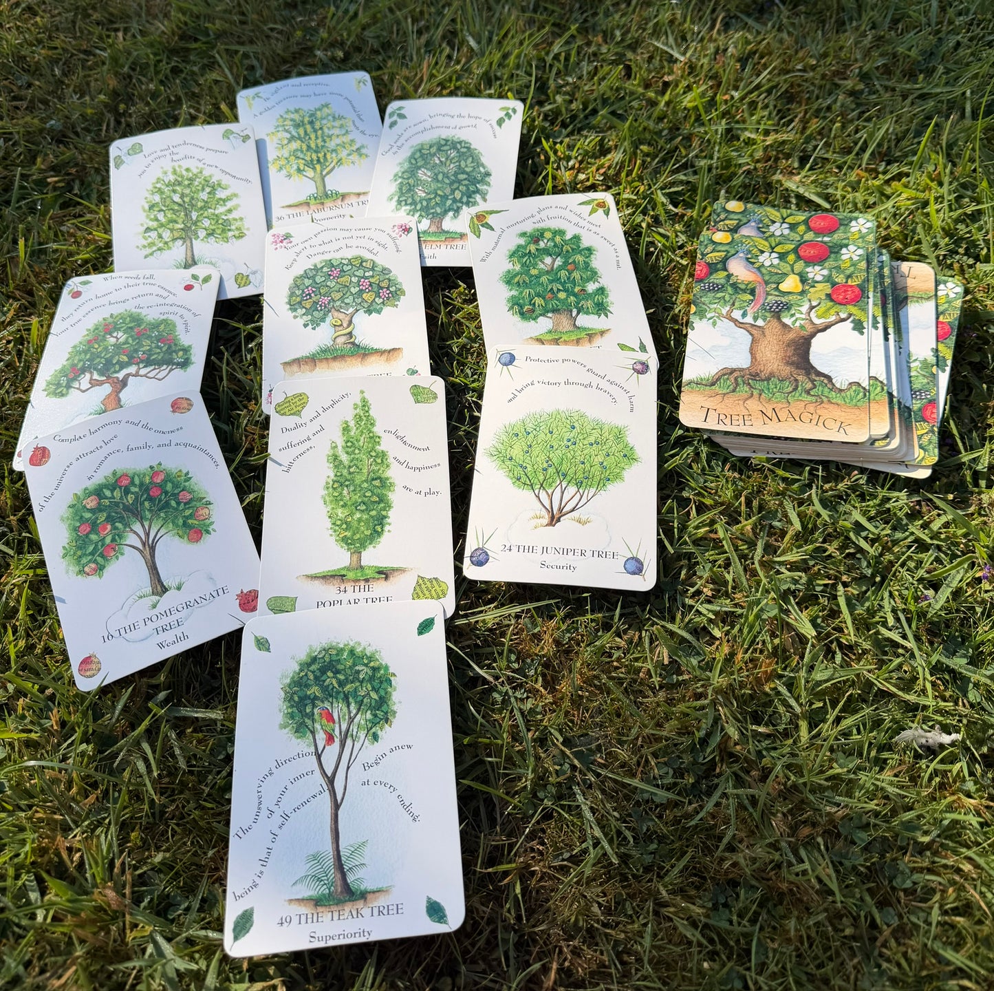 The Tree of Life Oracle Reading